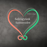 Pósfai Gábor – A TISZA működéséről